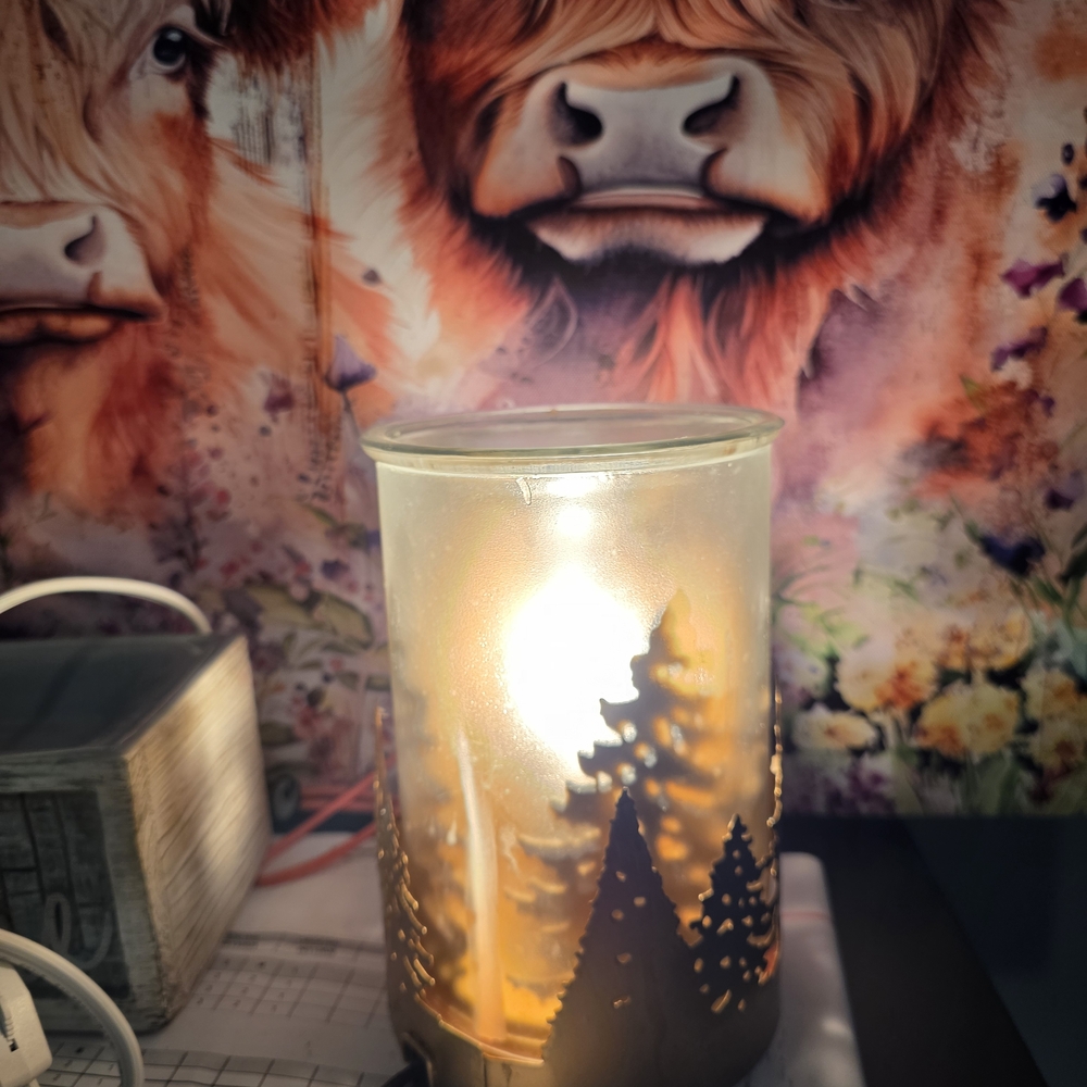 SCENTSY WARMER